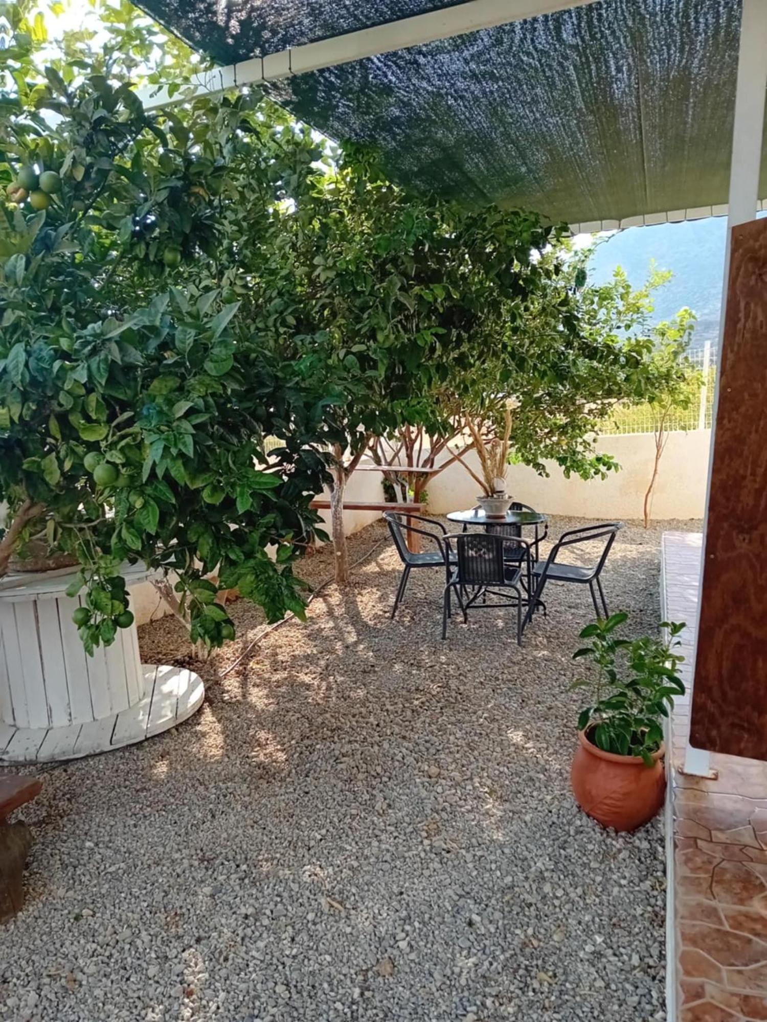 Studios Anna Maria With Sea View Kapetanianá Extérieur photo